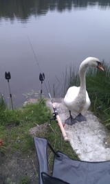 Fotografia  Łukasz 
