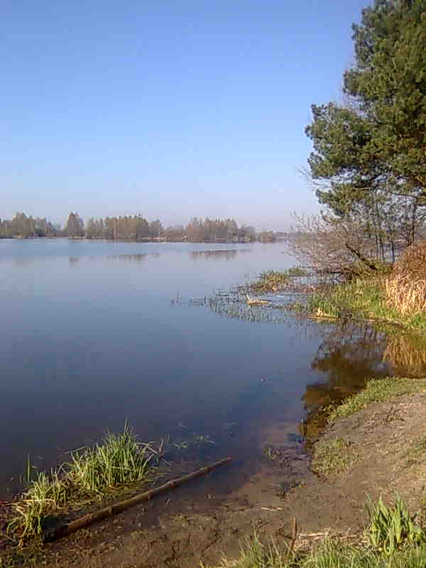 Fotografia jan poszepczyński
