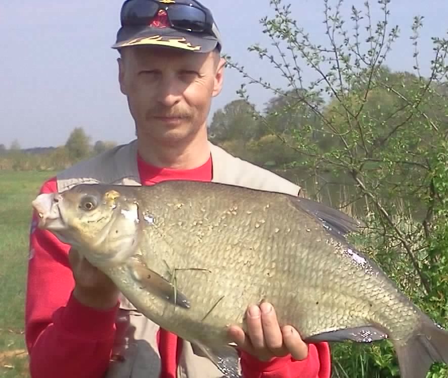 Fotografia Jarosław Nowotnik