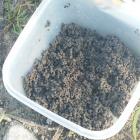 Pellet 1,5 mm