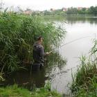 zdjęcie nr 31