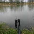 Fotka nr 2 z 19