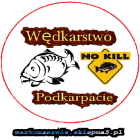zdjęcie nr 11