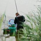 zdjęcie nr 8