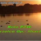 Fotka nr 0 z 2
