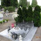 zdjęcie nr 27