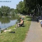 zdjęcie nr 21