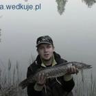 zdjęcie nr 7