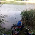 zdjęcie nr 12