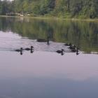 zdjęcie nr 19