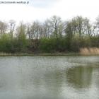 zdjęcie nr 31