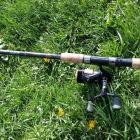 Fotka nr 3 z 10
