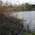zdjęcie nr 8