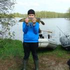 Fotka nr 4 z 12