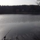 Fotka nr 1 z 6