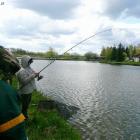 zdjęcie nr 7