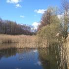 zdjęcie nr 21