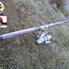 Fotka nr 4 z 16