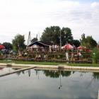 zdjęcie nr 8