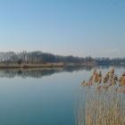 wczesno wiosenny widok 2015