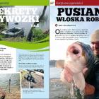 zdjęcie nr 9
