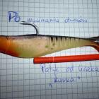 Fotka nr 2 z 10