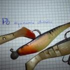 Fotka nr 3 z 10