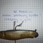 Fotka nr 5 z 10