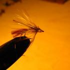 zdjęcie nr 9