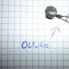 Fotka nr 3 z 7