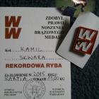 Fotka nr 0 z 6