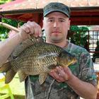 karaś - 2,4kg/44cm