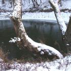 Fotka nr 0 z 11