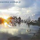 zdjęcie nr 2