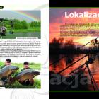 Fotka nr 3 z 16