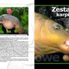 zdjęcie nr 11