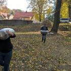 zdjęcie nr 7