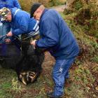 zdjęcie nr 4