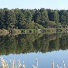 zdjęcie nr 33