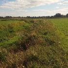 Taki widok można zaobserwować na całym regulowanym odcinku rzeki oraz odcinkach mu...
