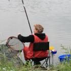zdjęcie nr 37