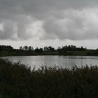 zdjęcie nr 77