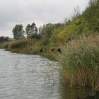 zdjęcie nr 56