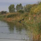 zdjęcie nr 29