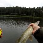 Fotka nr 1 z 3