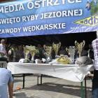 Fotka nr 2 z 7