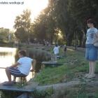 zdjęcie nr 7