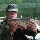 Silver Shadow bolognese walczy z linem