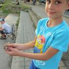 zdjęcie nr 15