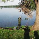 zdjęcie nr 32